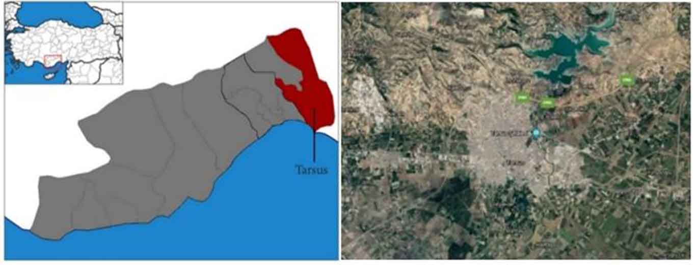 Resim 1. Mersin İli ve Tarsus ilçesi (Deniz, 2021).Image 1. Mersin province and Tarsus district (Deniz, 2021).