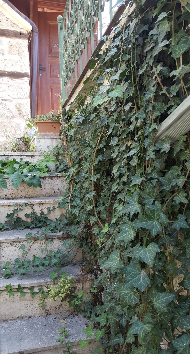 Resim 24. Müderrisoğlu Konağı sahibinin yan cepheden eve giriş kapısı (Fotoğraf: Gür, 2022).