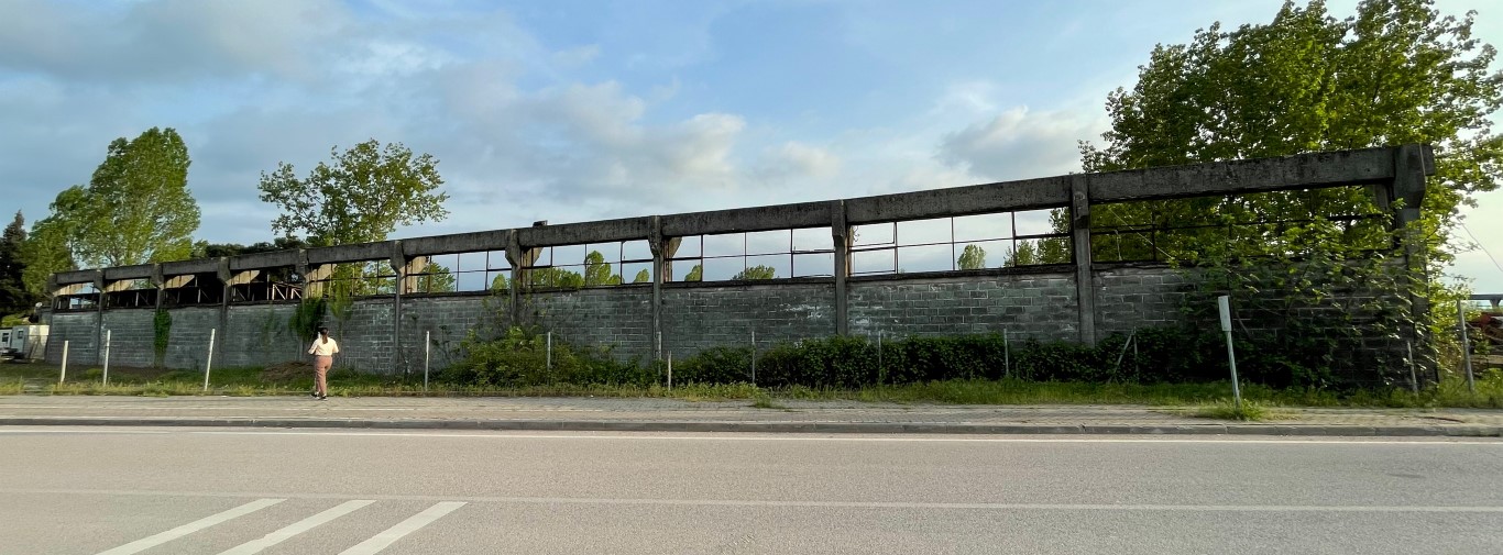 Resim 10. Kazlı Deri Fabrikası küçükbaş ham deri işleme binasından geriye kalan duvar (Senem M. Sevindik, 2022).Image 10. The wall remaining from the Kazlı Leather Factory rawhide processing building (Senem M. Sevindik, 2022).

