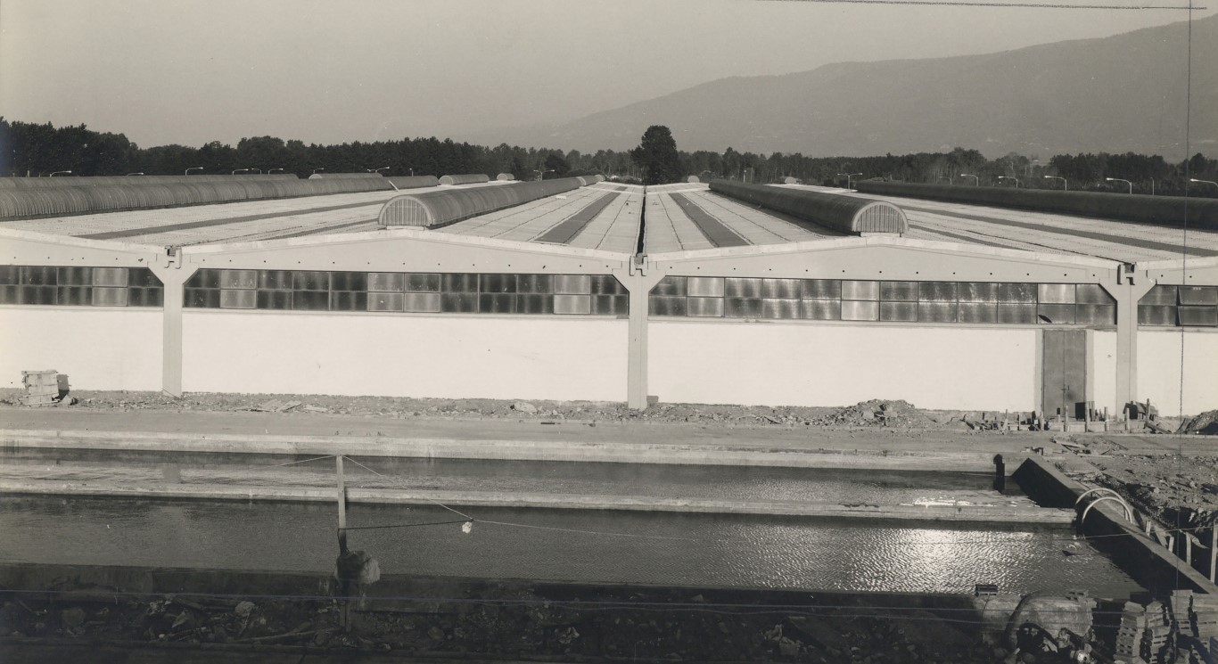 Resim 3. Küçükbaş ham deri işleme binası batı cephesi’nden fotoğraf (Tekeli, 1974).Image 3. A photograph from the west facade of the rawhide processing building (Tekeli, 1974).
