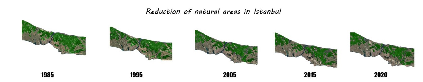 Şekil 13. Alan 5 / zaman çizelgesi.Figure 13. Site 5 / timeline.