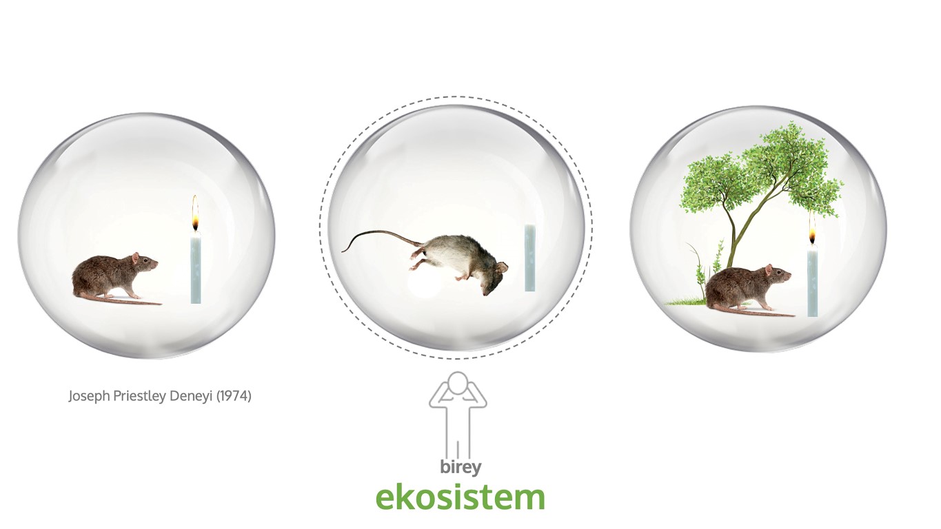 Şekil 2. Yaşam döngüsünde hangi çemberin içindeyiz?Figure 2. What circle are we in the life cycle?