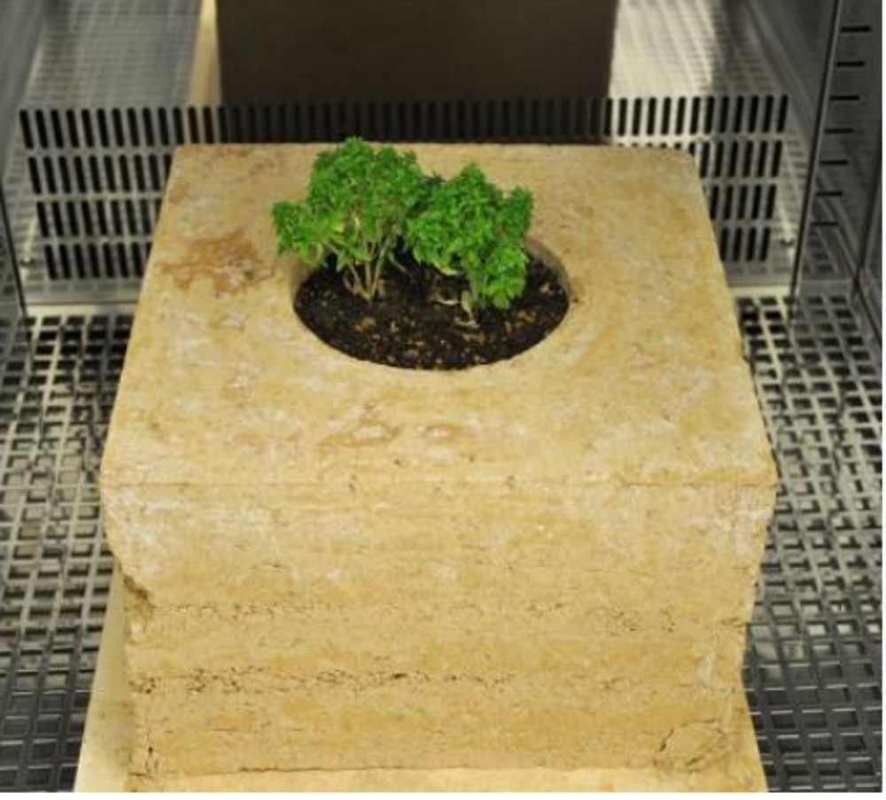 Resim 15. İçerisine bitki ve mikorizal ekilmiş sıkıştırılmış toprak blok (Ataç, 2019).Image15. Compressed soil block with plants and mycorrhizae planted in it (Ataç, 2019).