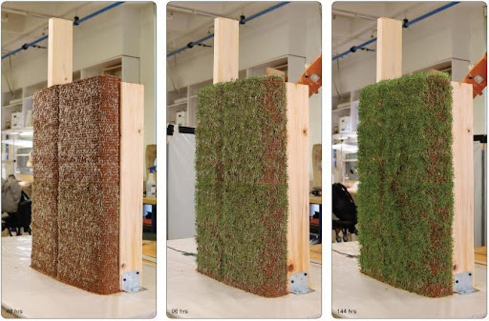 Resim 6. Canlı toprak duvarlar (URL-6).Image 6. Living walls produced from raw earth and seeds (URL-6).