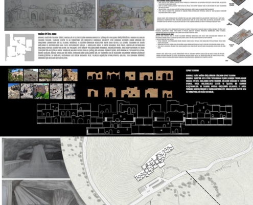 Muhammet Ziya Arı - 2