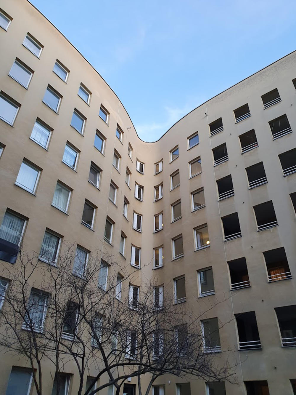 Resim 6. Hatta birbirine baksa en iyisiydi.