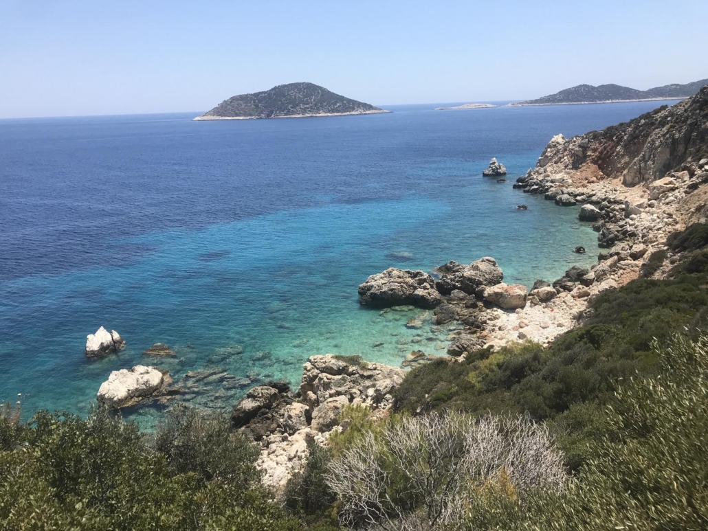 Gürkan Özlü, 2020