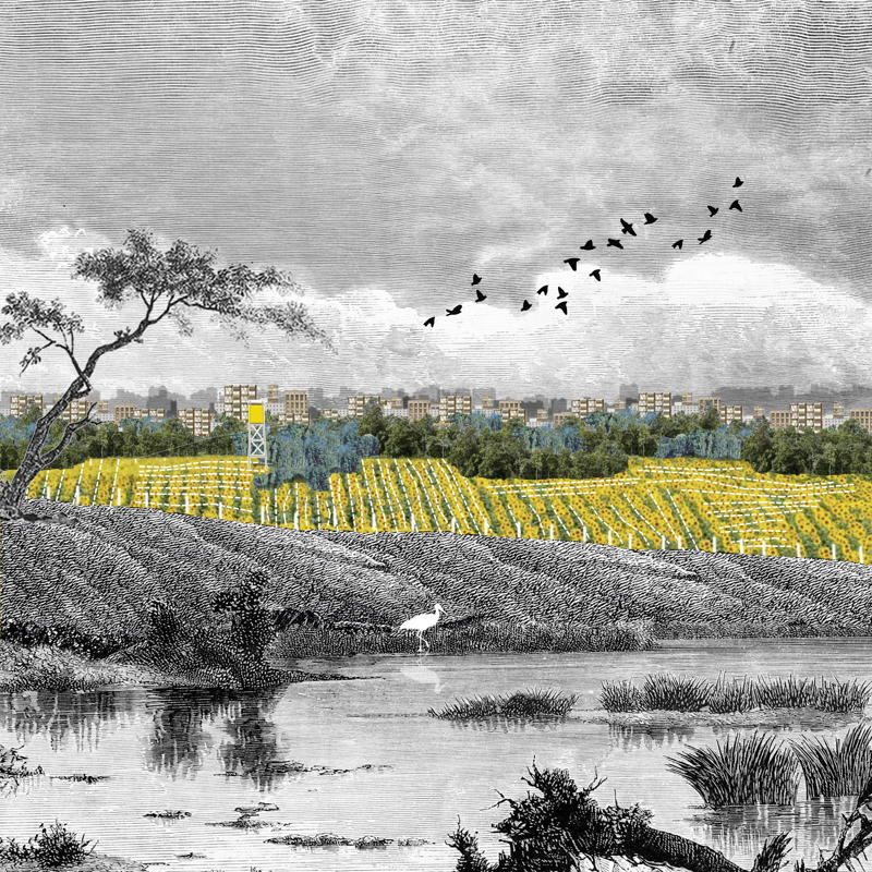 Şekil 3. Başlangıç, Küçükçekmece. Openact Architecture. 