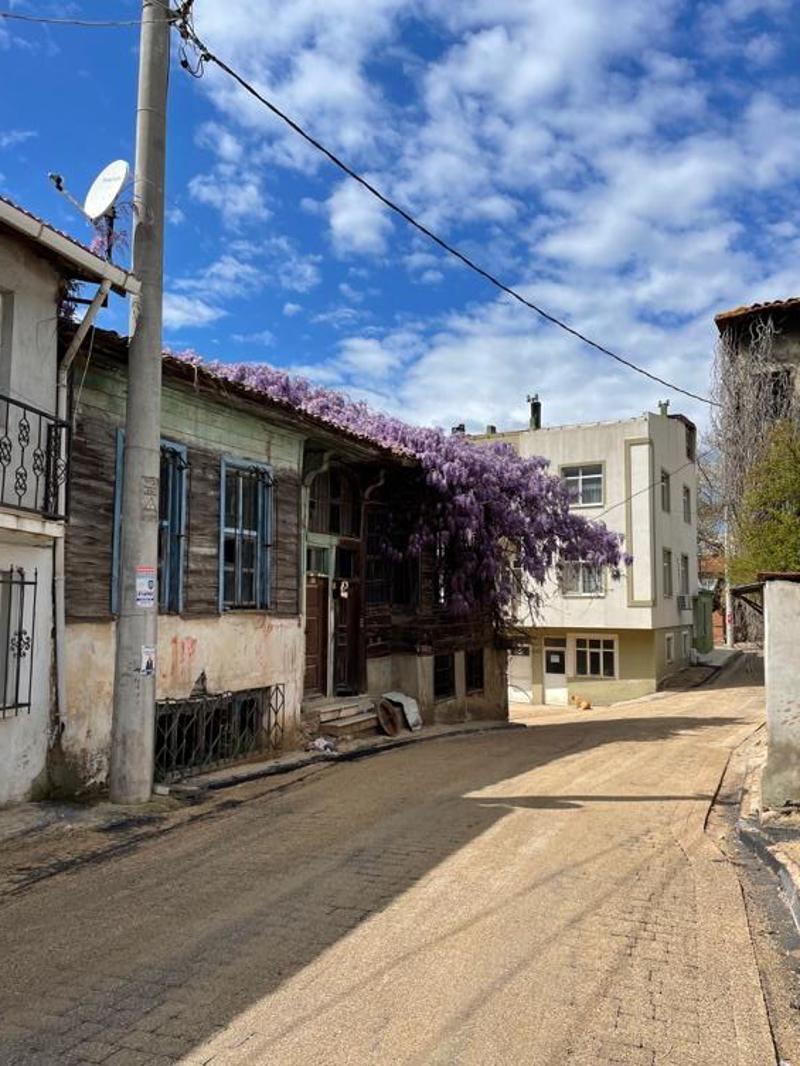 Resim 10. 25 ve 27 numaralı evlerin bütünsel görünümü, 7 Nisan 2024.