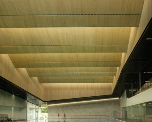 2-hcma_t╔Öm╔Ösew╠ôtx╩ÀACC_50m Lap pool with Mass Timber sawtooth roof_Credit Nic Lehoux