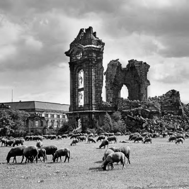 Resim 1. Dresdenli fotoğrafçı Walter Möbius'un 1957 tarihli ünlü fotoğrafı.