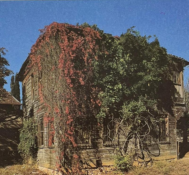 Resim 5. Bundan yirmi iki yıl önce, İstanbul'da, Erenköy'de doğanın en alımlı güçleriyle sıkı Sıkıya sarılıp kucakladığı; müteahhitin acımasız kazmasından kurtarabilmek için âdeta kamufle etmeye çalıştığı bir “kurbanlık köşk”.
