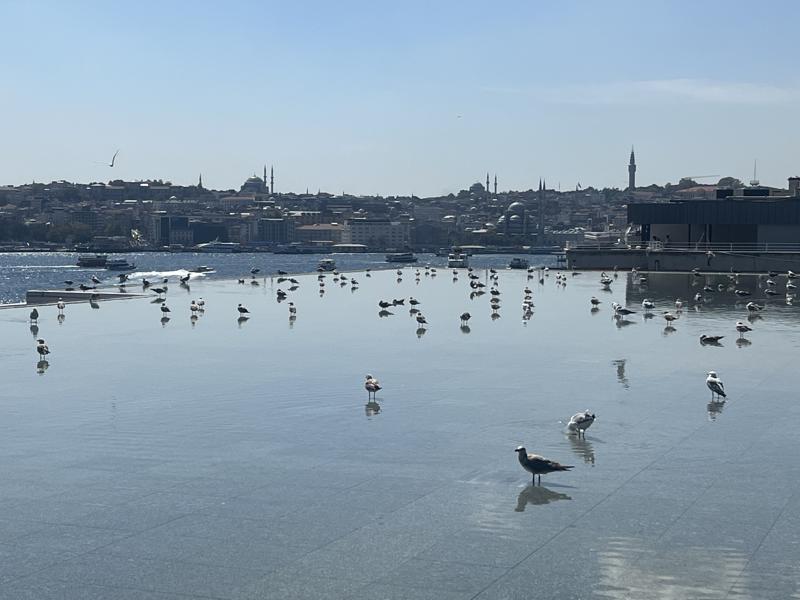 Resim 1. Renzo Piano, İstanbul Modern Müzesi’nin Terası. Fotoğraf: Esra Akcan.